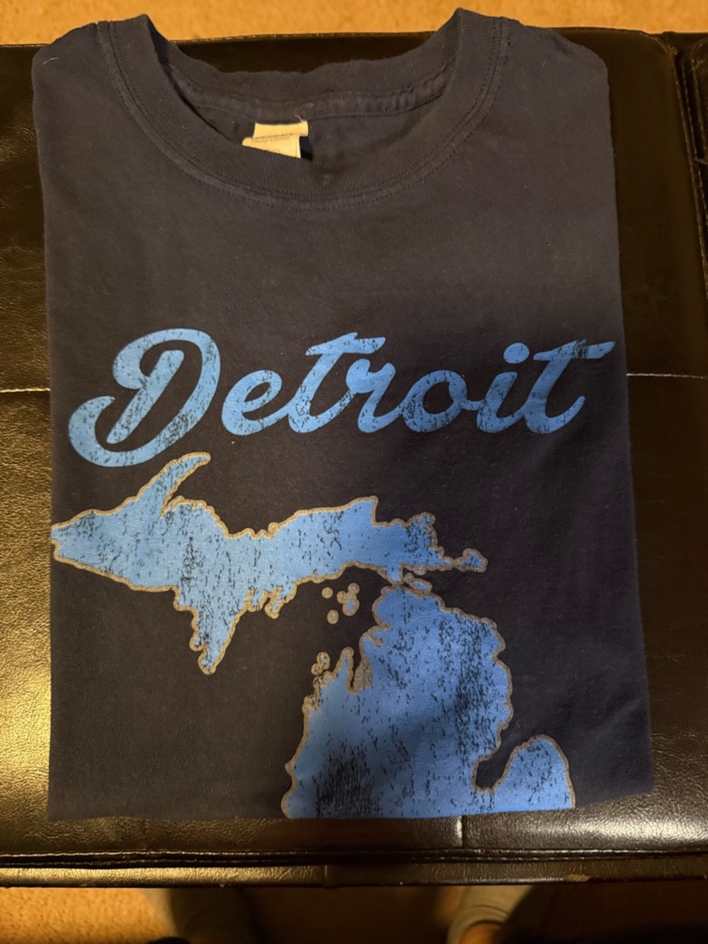 Gildan Black T‑Shirt with Light Blue Michigan Detroit Graphic